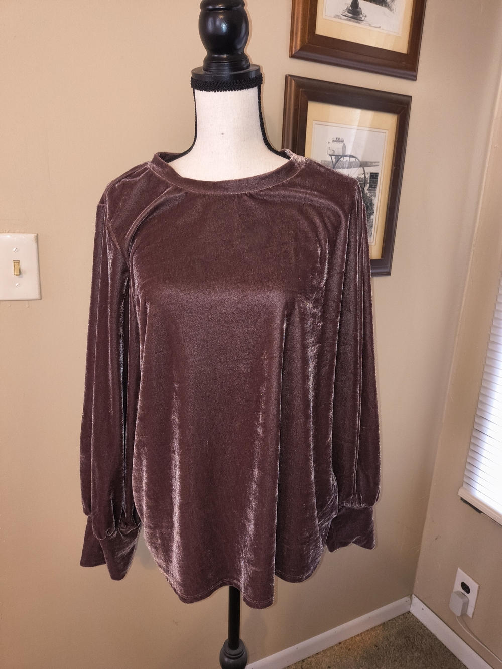 Ava & Viv Velvet Long-Sleeve Top in a rich chocolate brown, Mauve undertone.